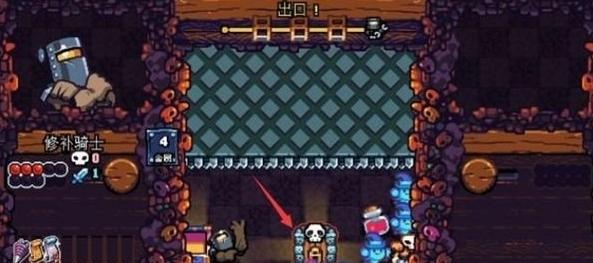 铲子骑士口袋地牢图片13