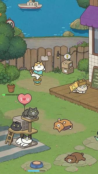 神秘猫咪字典手机版 官方版v0271截图1