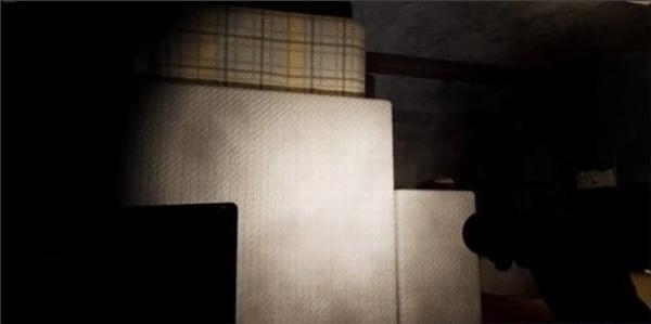 悬案2刹那惊颤6