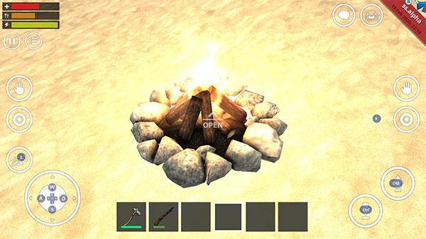 野外生存模拟器12