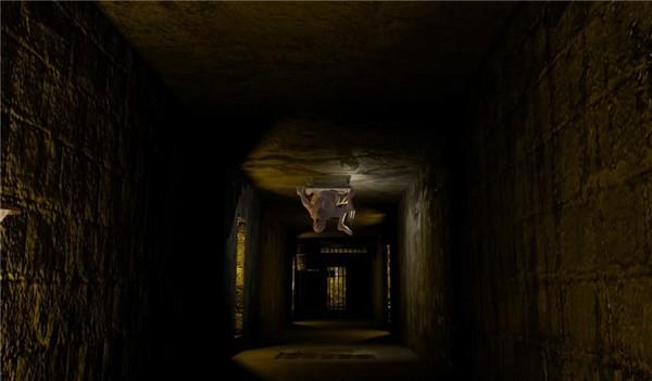 检疫站 安卓版v1截图3