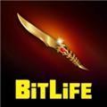 BitLife 安卓版v3.9.2