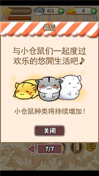 仓鼠的生活图片8