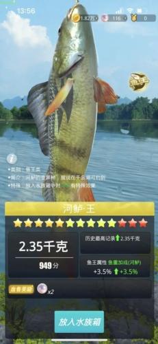 狂野钓鱼2钓王荣耀2