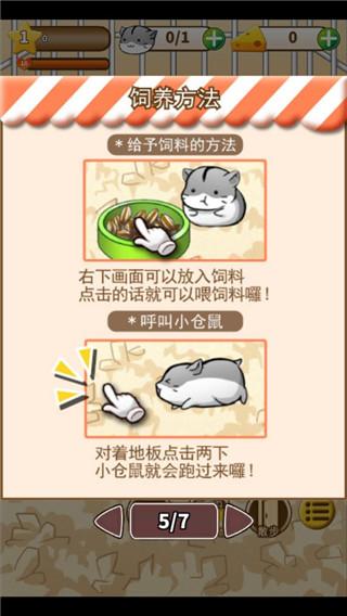 仓鼠的生活图片6