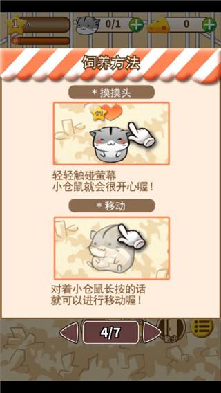 仓鼠的生活图片5