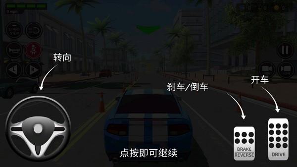 驾驶学院模拟器 安卓版v1.3截图3