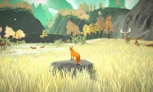 第一颗树 安卓版v1.0截图2