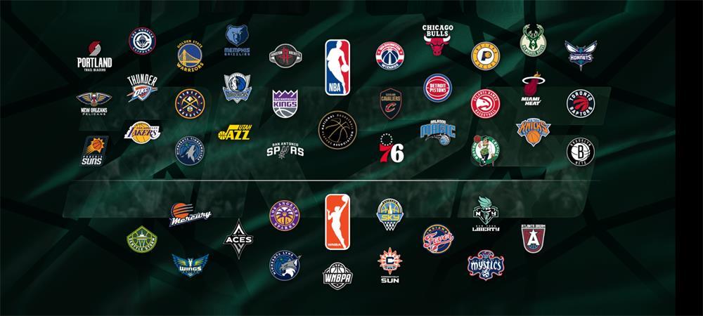 NBA 2K25梦幻球队安卓版(NBA 2K25 MyTEAM)v300.15.246297225 手机最新版截图1