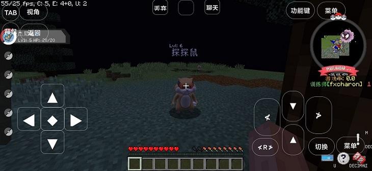 宝可梦世界王国澪游戏截图2