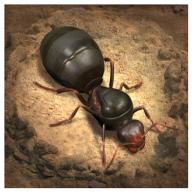 小小蚁国The Ants游戏国际版3.44.0 安卓手机版