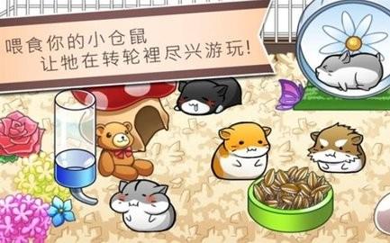 
                        仓鼠的日常生活                    截图0