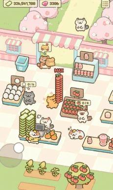 
                        猫市                    截图0