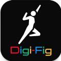 
                        DigiFig                    