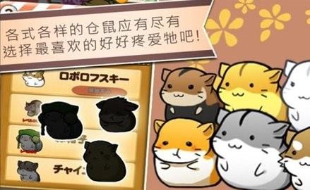 
                        仓鼠的日常生活                    截图1