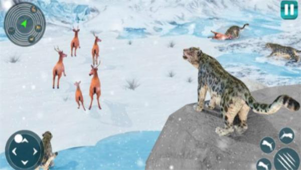 
                        野生雪豹模拟器                    截图1