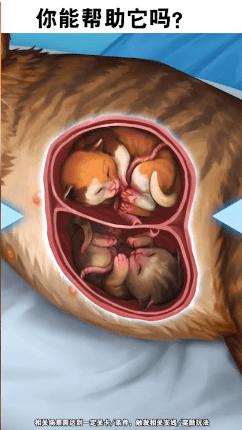 
                        小小动物医院                    截图2