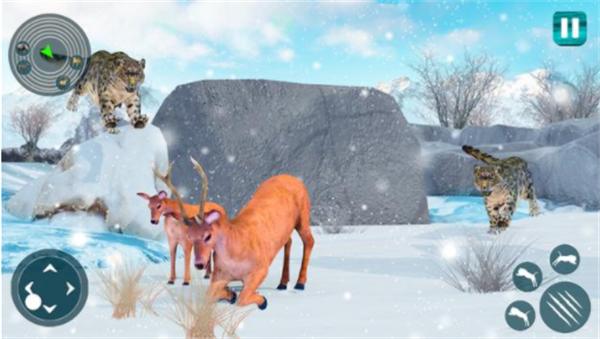 
                        野生雪豹模拟器                    截图2