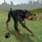 
                        狗狗生存模拟器                    