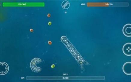 
                        孢子的开始                    截图2