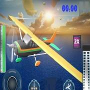 
                        小型飞机飞行模拟器                    