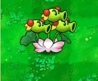 植物大战僵尸黑西游版