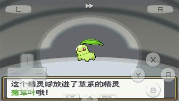 
                        口袋妖怪金银                    截图2