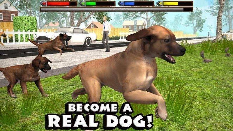 
                        DogSim                    截图2