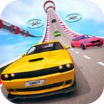 
                        极限赛道特技赛车                    