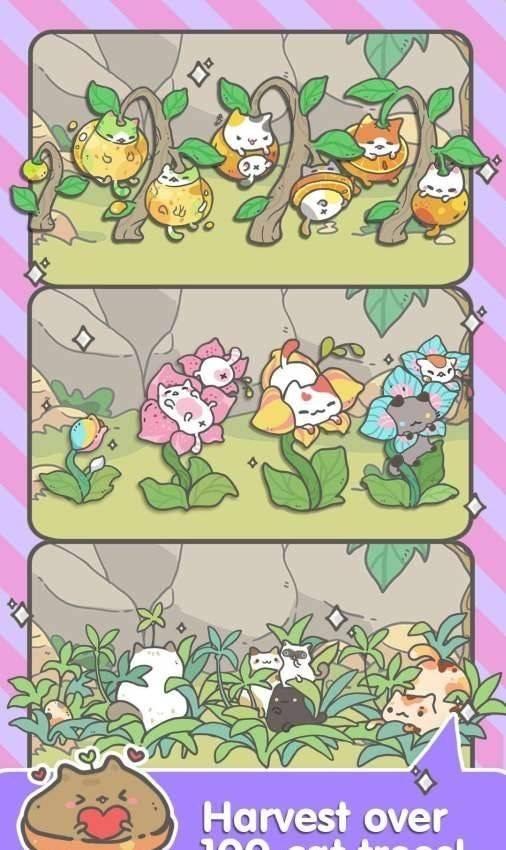 
                        我的小猫花                    截图0