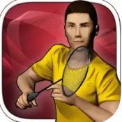 
                        RealBadminton安卓版                    