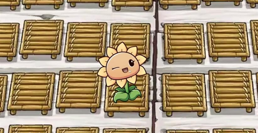 
                        一株向日葵                    截图2