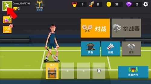 羽毛球高高手国际版