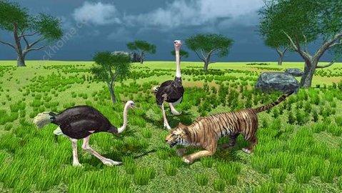 终极鸵鸟模拟器