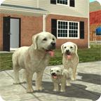 
                        DogSim                    