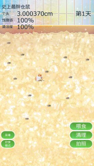 
                        治愈仓鼠养成                    截图0