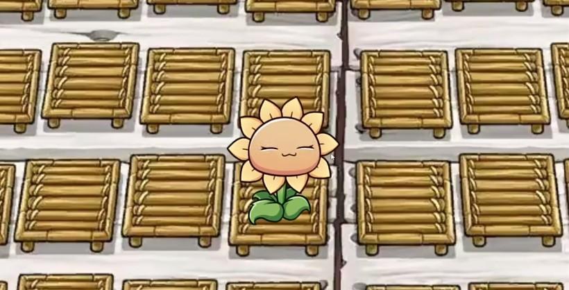 
                        一株向日葵                    截图1