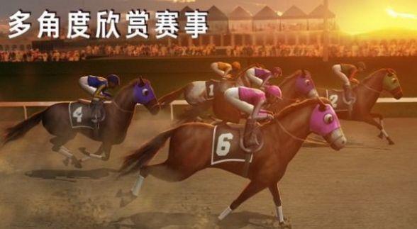 
                        模拟赛马竞赛                    截图2