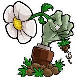 
                        植物大战僵尸真无双                    