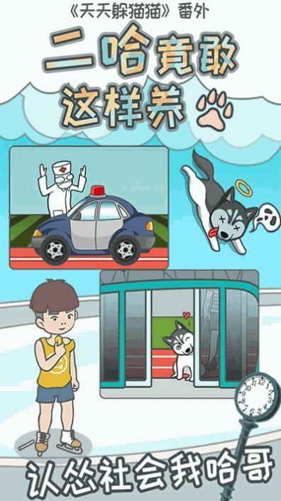 
                        二哈竟能这么养                    截图1