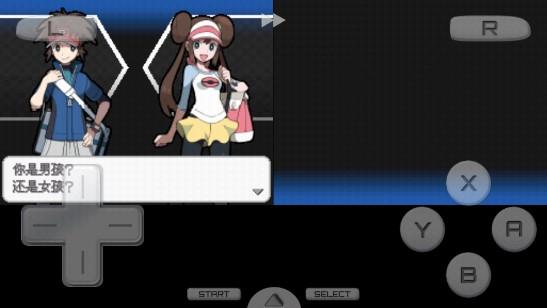 口袋妖怪黑2649版手机版 v3.0 移植版截图3