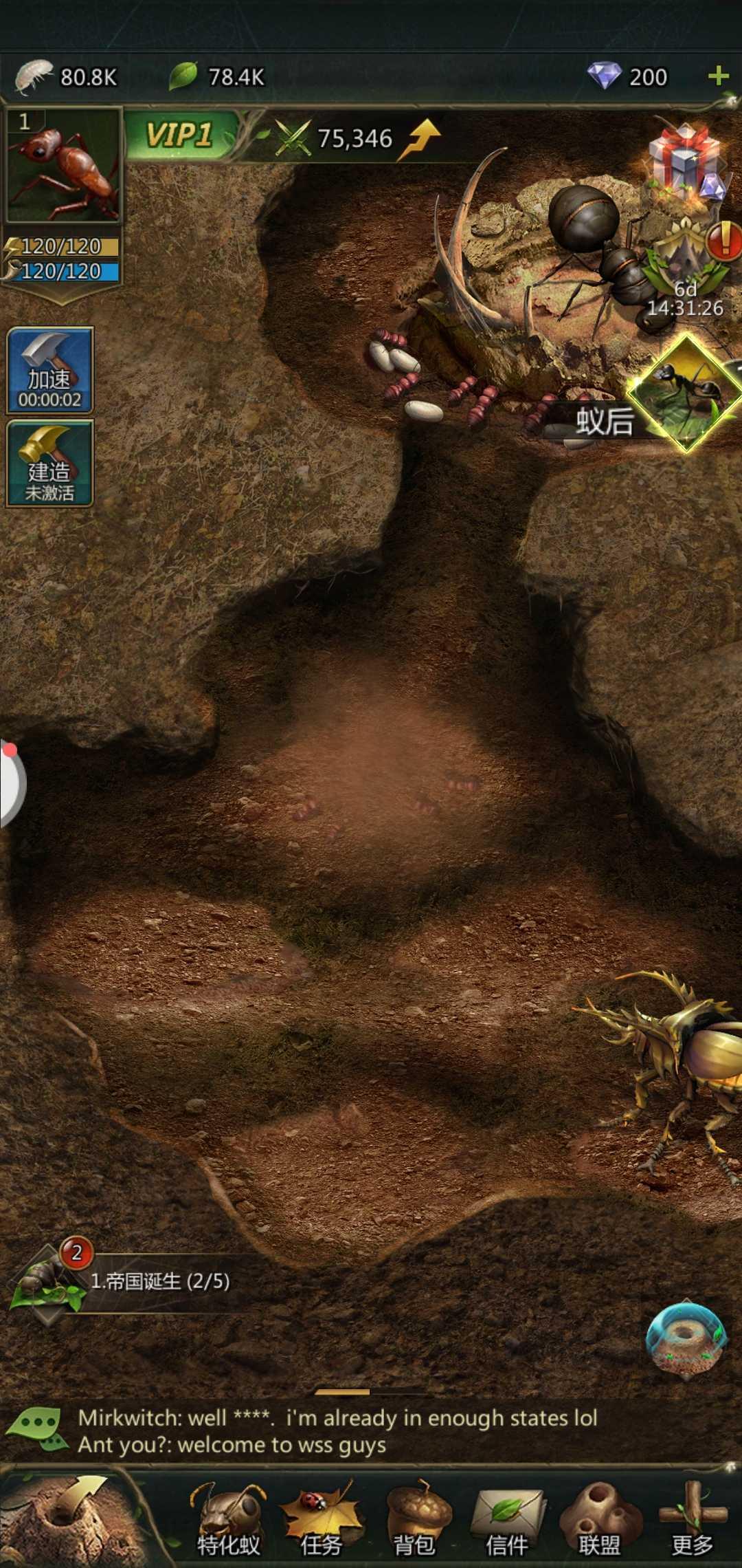 蚂蚁军团国际服