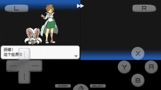 口袋妖怪黑2649版手机版 v3.0 移植版截图2