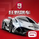 狂野飙车9安卓版 