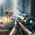 狙击射击训练营 