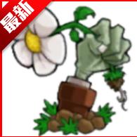 Longe植物大战僵尸可接头版最新版本 v0.01 安卓直装版