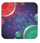 细胞扩张战争最新版 