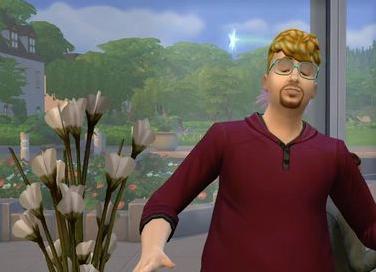 模拟人生4 模拟人生4截图