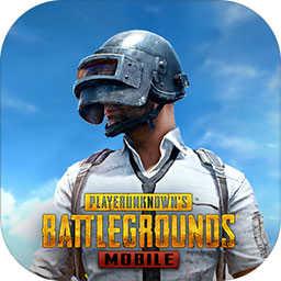 pubgm(国际版)