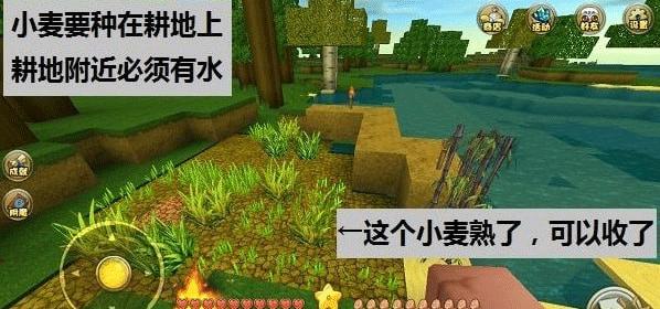 迷你世界破解版无限迷你币和迷你豆版游戏攻略6